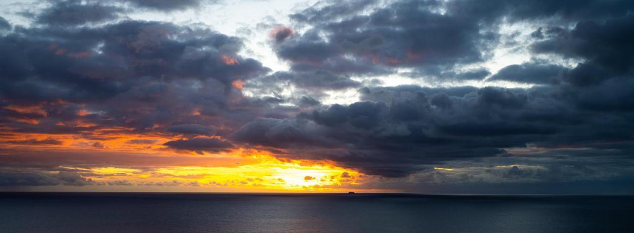Shearwaters - Sounds Of The Sea Funchal (Madeira) Exterior foto